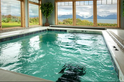 Stunning Villa Rental with Luxurious Amenities on a Secluded Oceanfront Property near Homer, Alaska - Homer, Alaska - glamping.directory