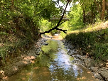 Magical Treehouse Retreat with Creek Views near Forestburg Forest in Forestburg, Texas - Forestburg, Texas - glamping.directory