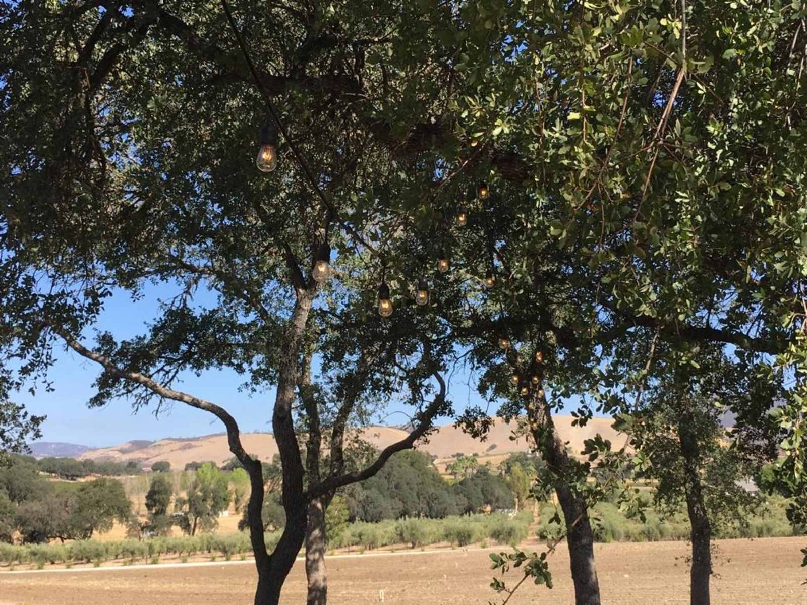 Road's End, Bradley Lockwood - Lockwood, California - glamping.directory
