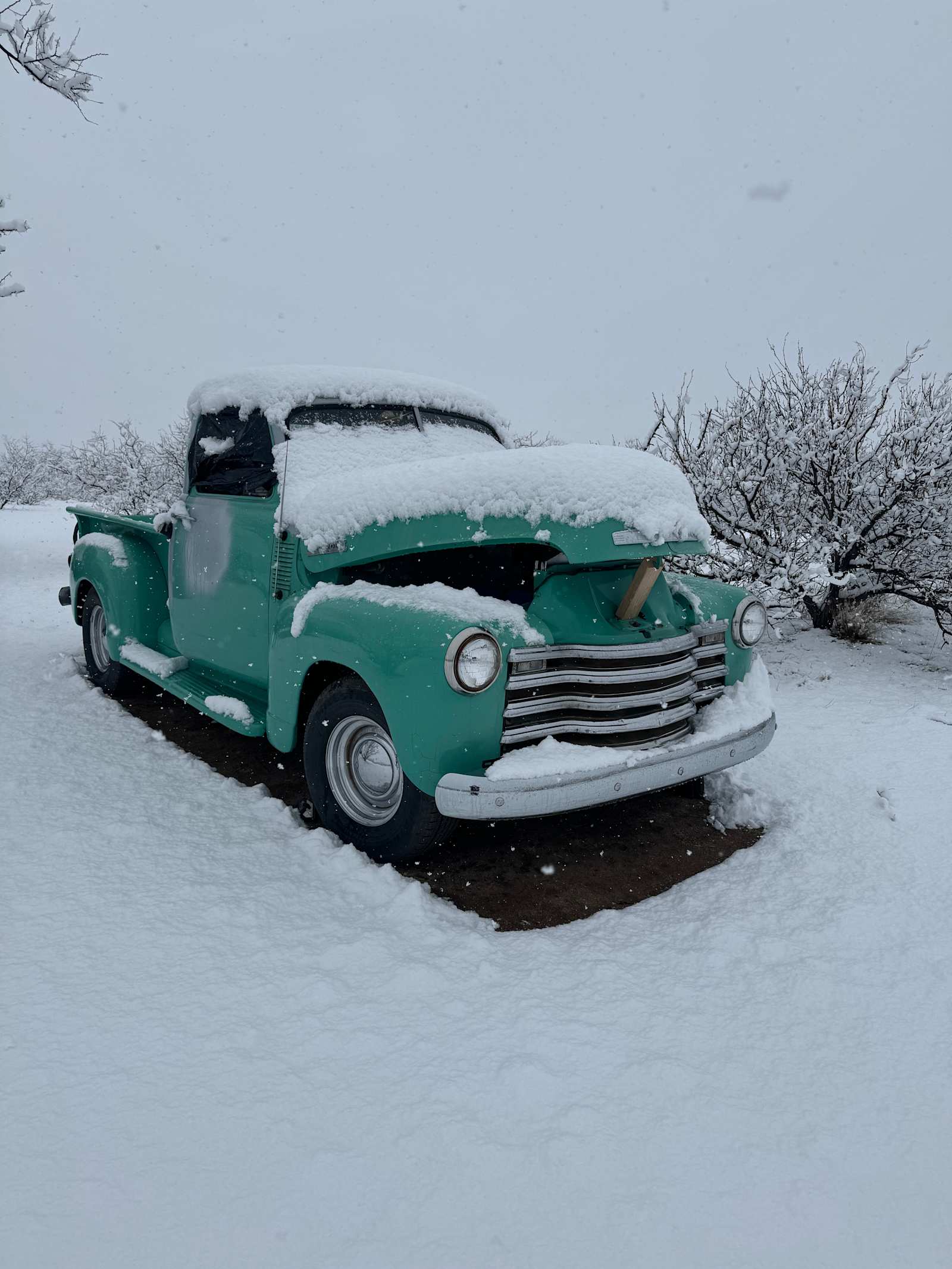 High Desert Ghost Town Getaway - Elfrida, Arizona - glamping.directory