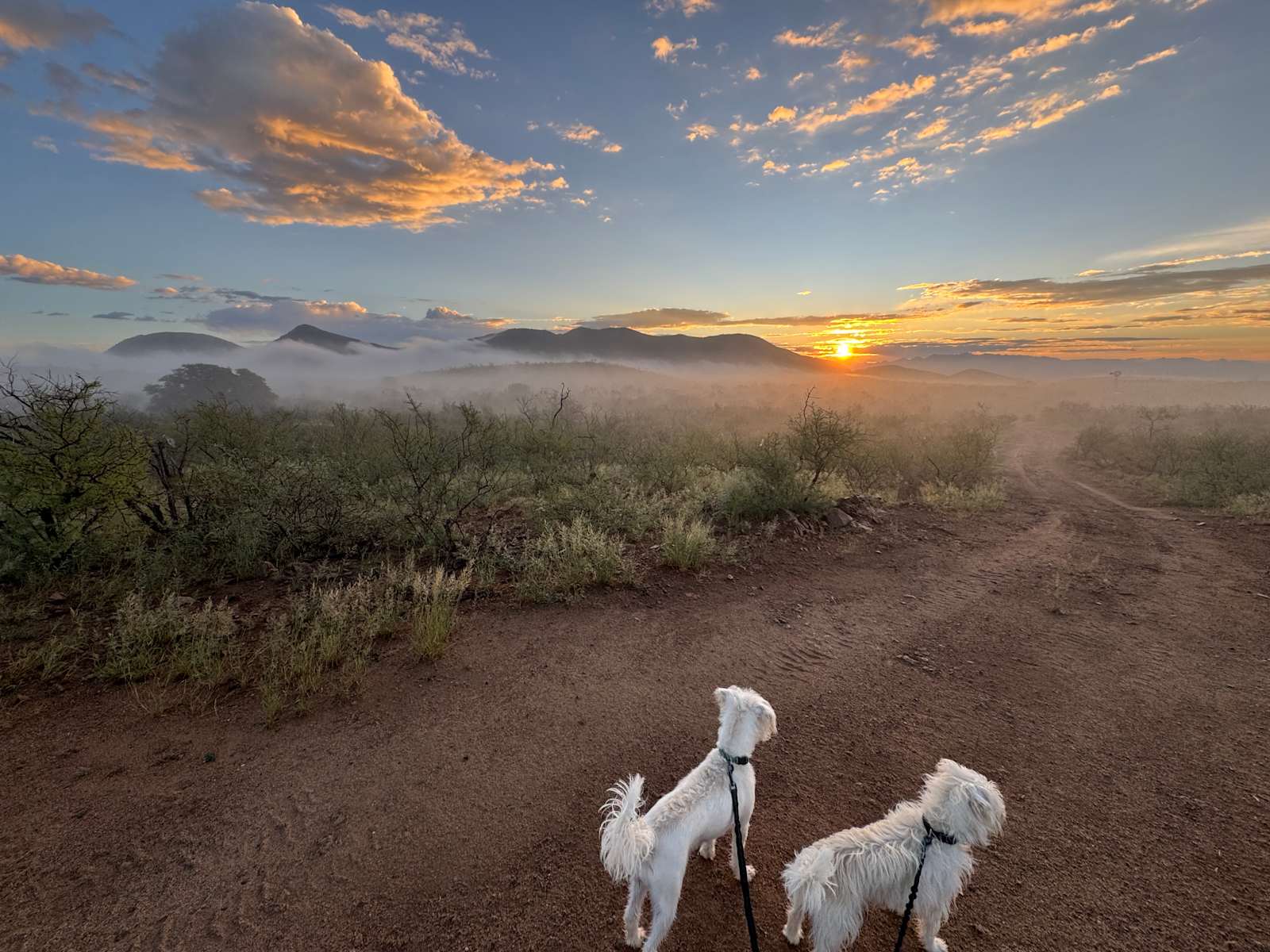 High Desert Ghost Town Getaway - Elfrida, Arizona - glamping.directory