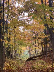 Romantic Stargazing Retreat: Bell Tent for Couples in Michigan's Dream Destination - Boyne Falls, Michigan - glamping.directory