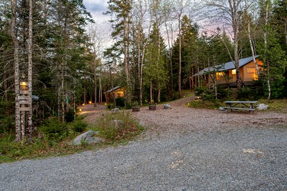 Peaceful Safari Tent Nestled in the Woods of Mount Desert Island, Maine - Bar Harbor, Maine - glamping.directory