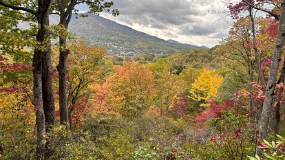 Gorgeous Safari Tent with Incredible Views for a Romantic Glamping Getaway near Waynesville, North Carolina - Waynesville, North Carolina - glamping.directory