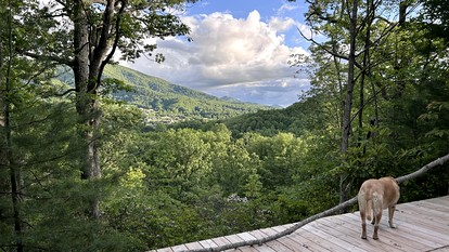 Gorgeous Safari Tent with Incredible Views for a Romantic Glamping Getaway near Waynesville, North Carolina - Waynesville, North Carolina - glamping.directory