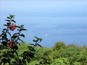 Gorgeous Vacation Cottage with Stunning Ocean Views in Captain Cook, Hawaii - Captain Cook, Hawaii - glamping.directory
