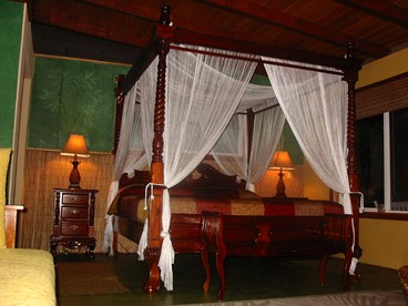 Gorgeous Vacation Cottage with Stunning Ocean Views in Captain Cook, Hawaii - Captain Cook, Hawaii - glamping.directory
