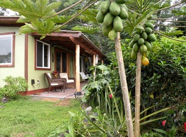 Gorgeous Vacation Cottage with Stunning Ocean Views in Captain Cook, Hawaii - Captain Cook, Hawaii - glamping.directory