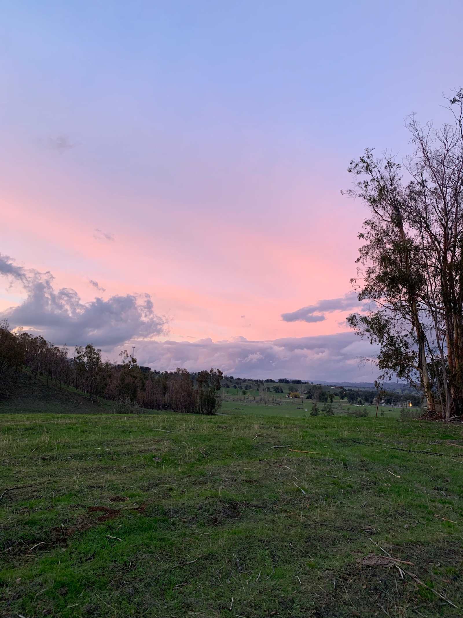 Eucalyptus Forest & Mountain Views - Elk Creek, California - glamping.directory