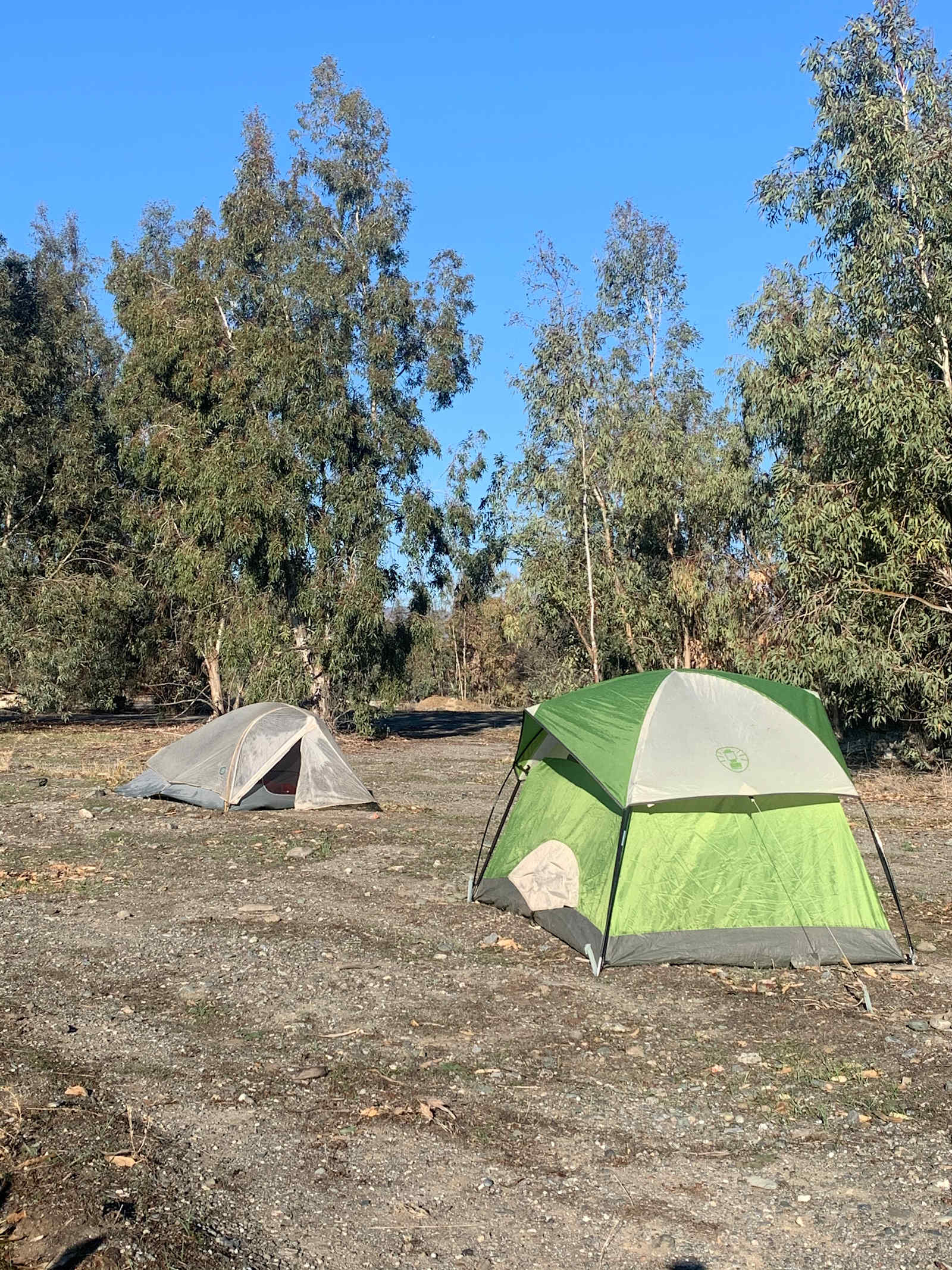 Eucalyptus Forest & Mountain Views - Elk Creek, California - glamping.directory