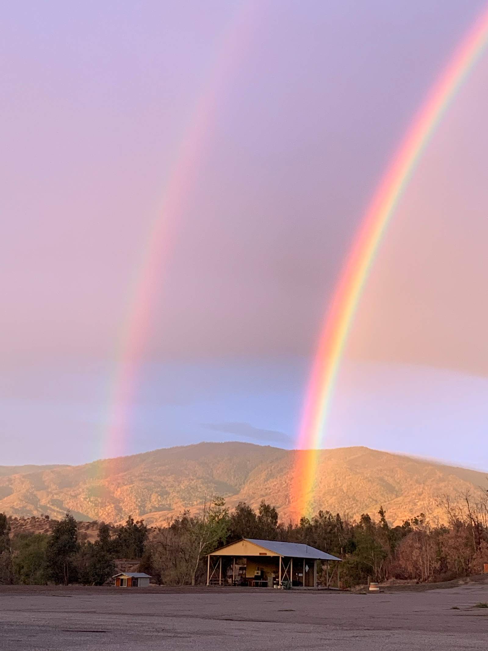 Eucalyptus Forest & Mountain Views - Elk Creek, California - glamping.directory