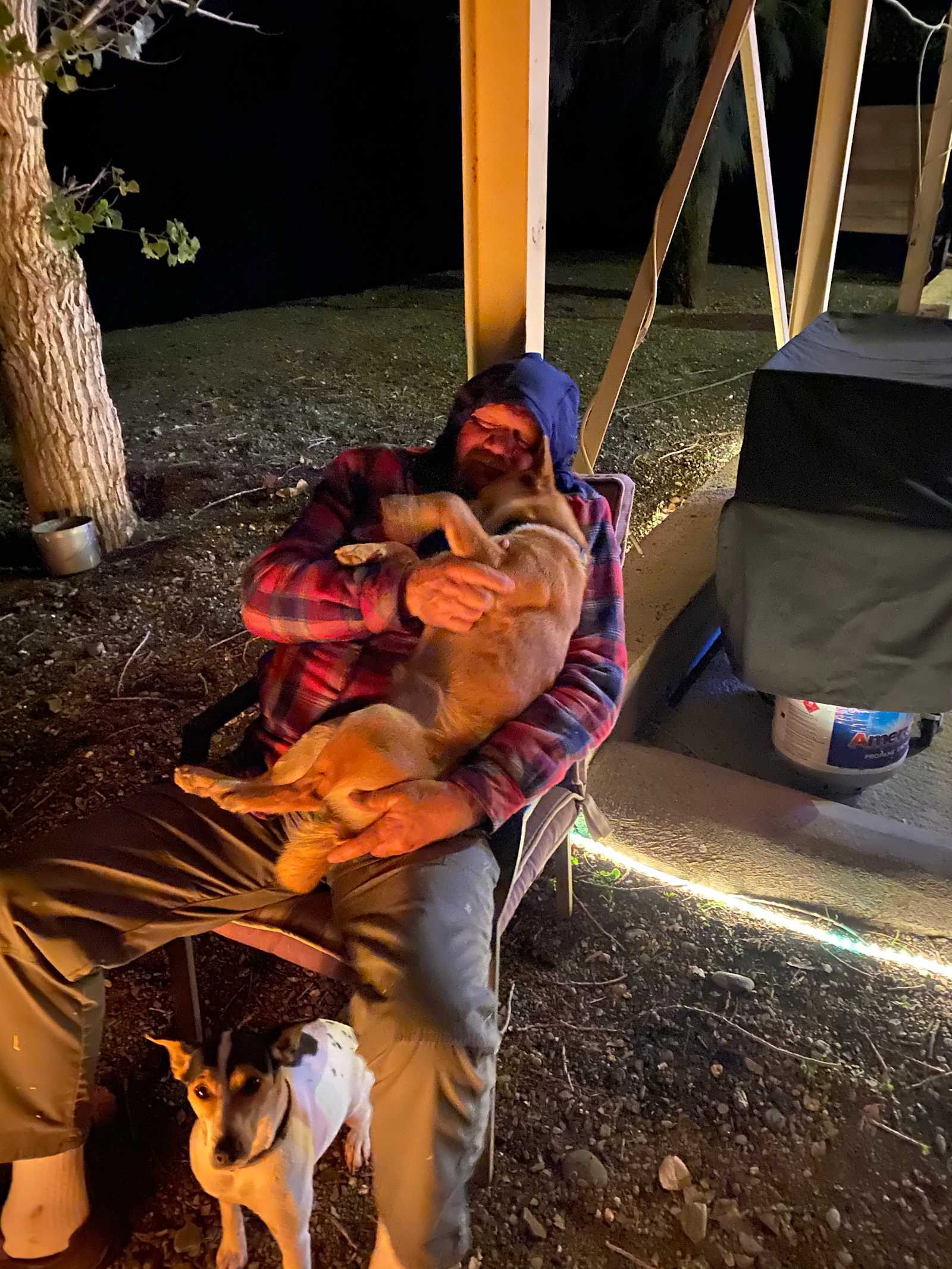 Eucalyptus Forest & Mountain Views - Elk Creek, California - glamping.directory