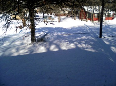 Rustic Cabin Rental within Walking Distance of Lake Texoma in Denison, Texas - Denison, Texas - glamping.directory