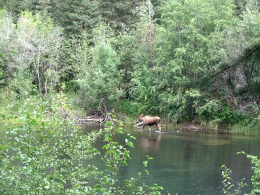 Charming Bed and Breakfast Suite Offering Views of the Northern Lights in Alaska - North Pole, Alaska - glamping.directory
