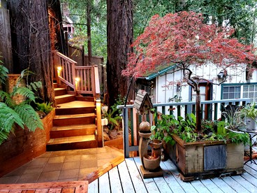 Secluded Cottage Rental with a Private Hot Tub in the Redwoods of Guerneville, California - Guerneville, California - glamping.directory