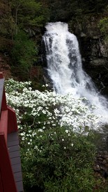 Secluded Cabin with Waterfall Views in the Cherokee National Forest, Tennessee - Erwin, Tennessee - glamping.directory