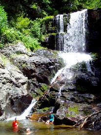 Secluded Cabin with Waterfall Views in the Cherokee National Forest, Tennessee - Erwin, Tennessee - glamping.directory