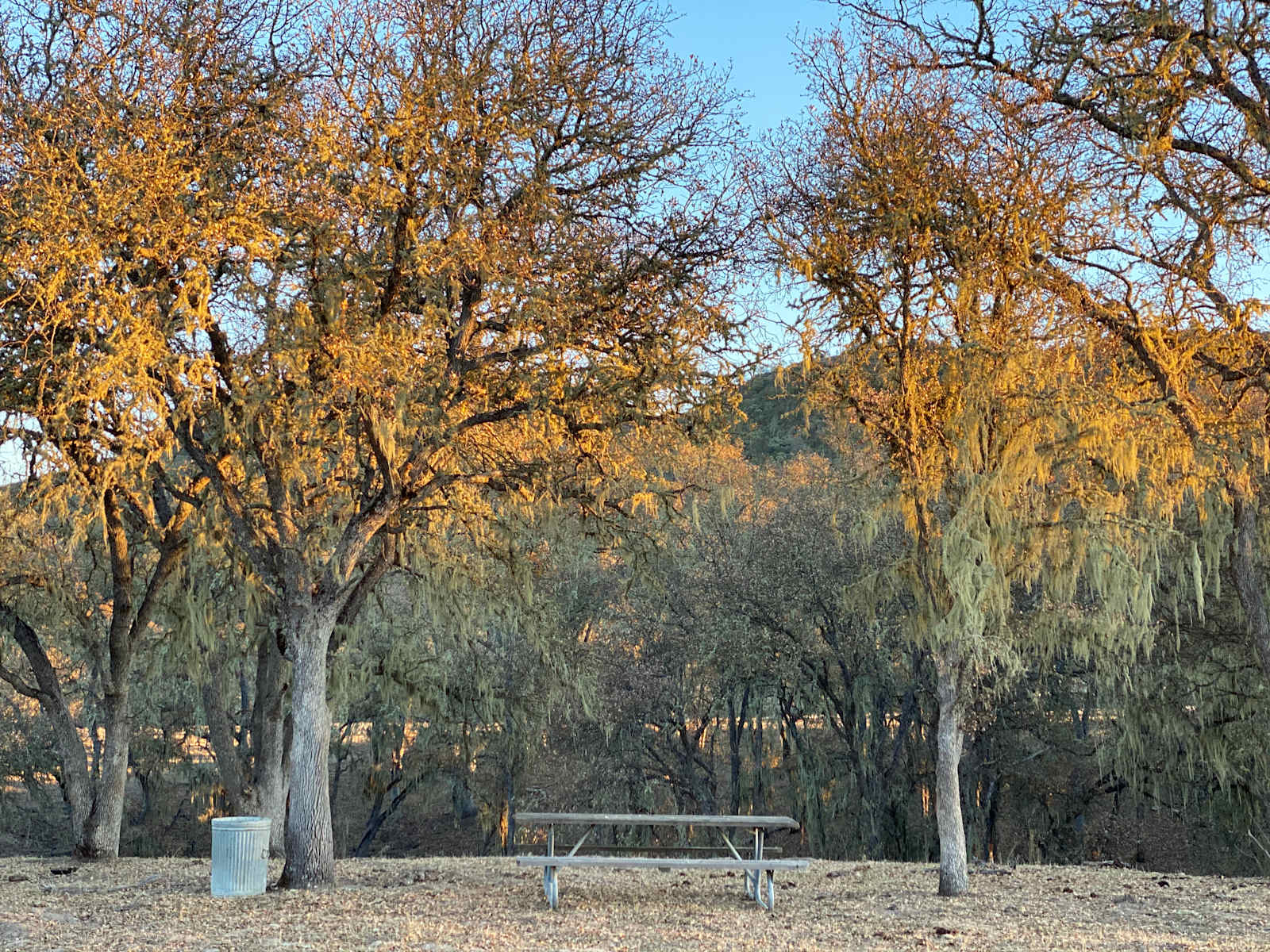 Smith Ranch - Bradley, California - glamping.directory