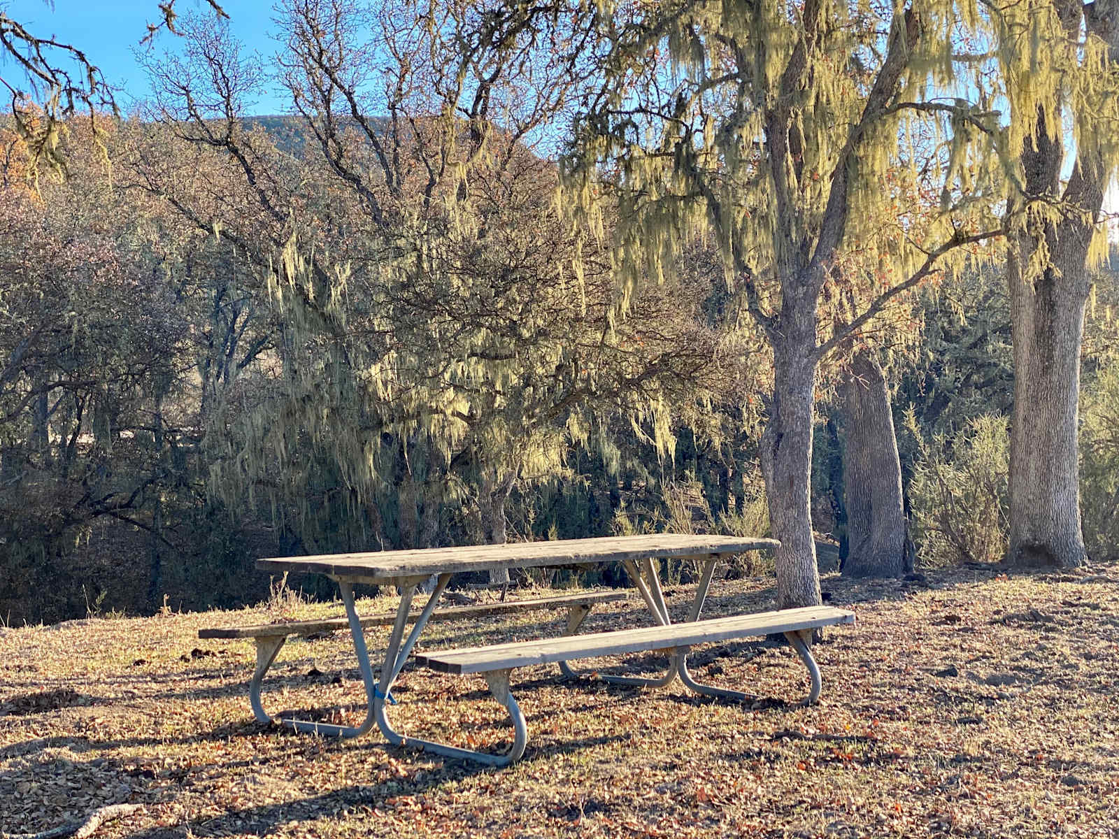 Smith Ranch - Bradley, California - glamping.directory