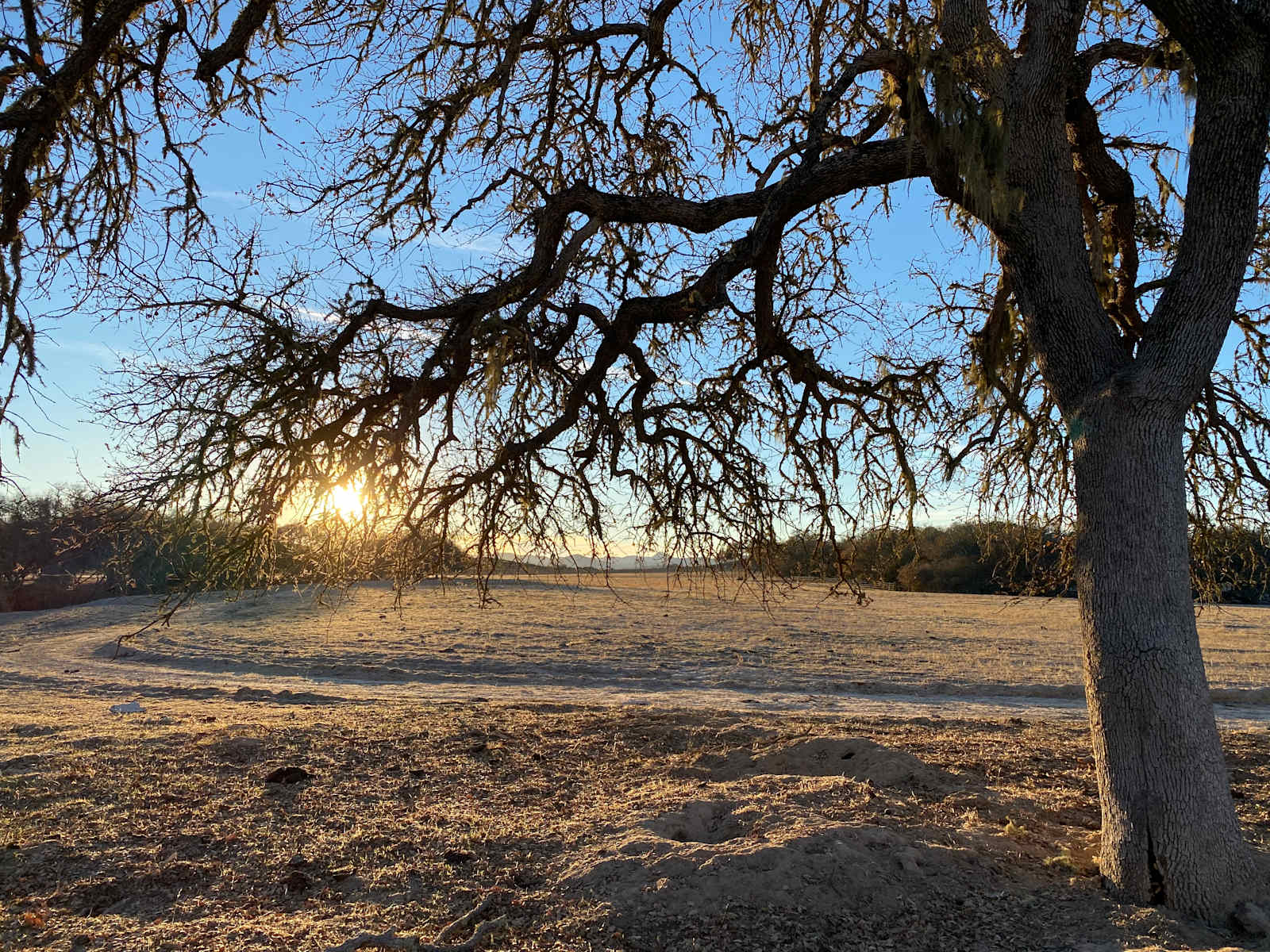 Smith Ranch - Bradley, California - glamping.directory