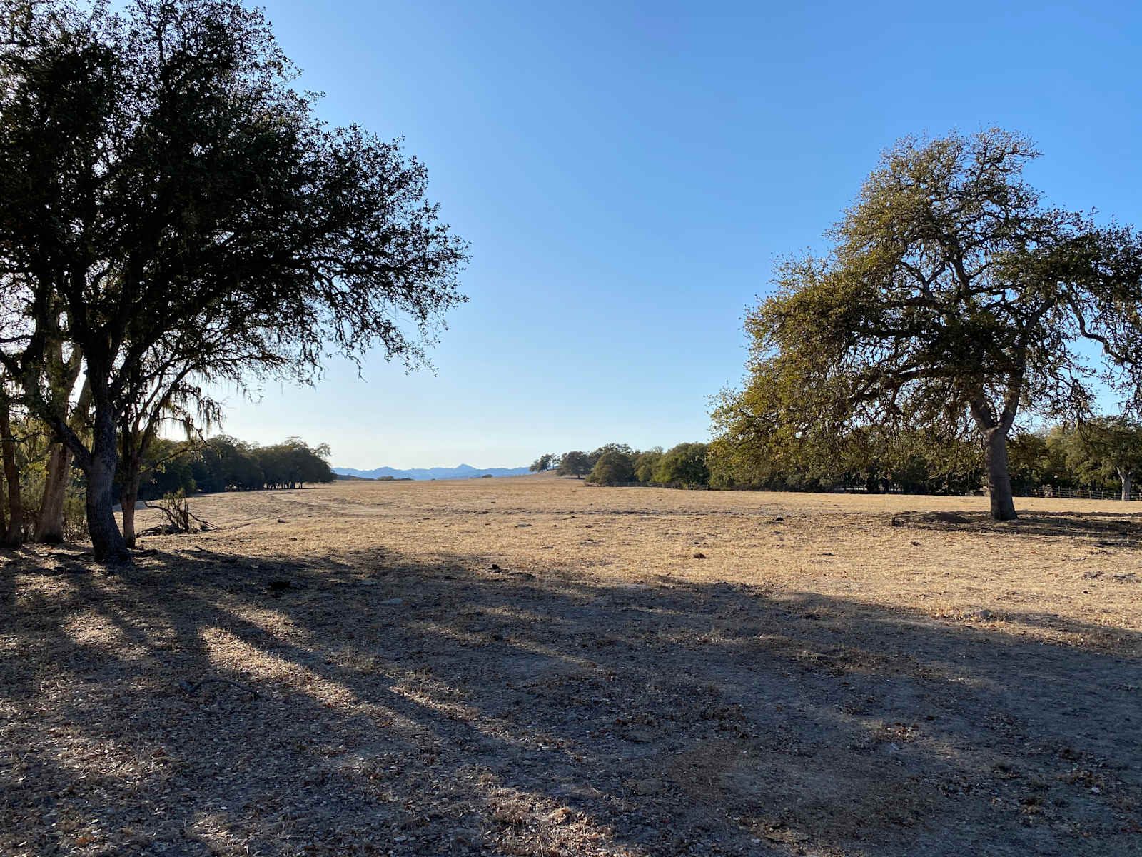 Smith Ranch - Bradley, California - glamping.directory