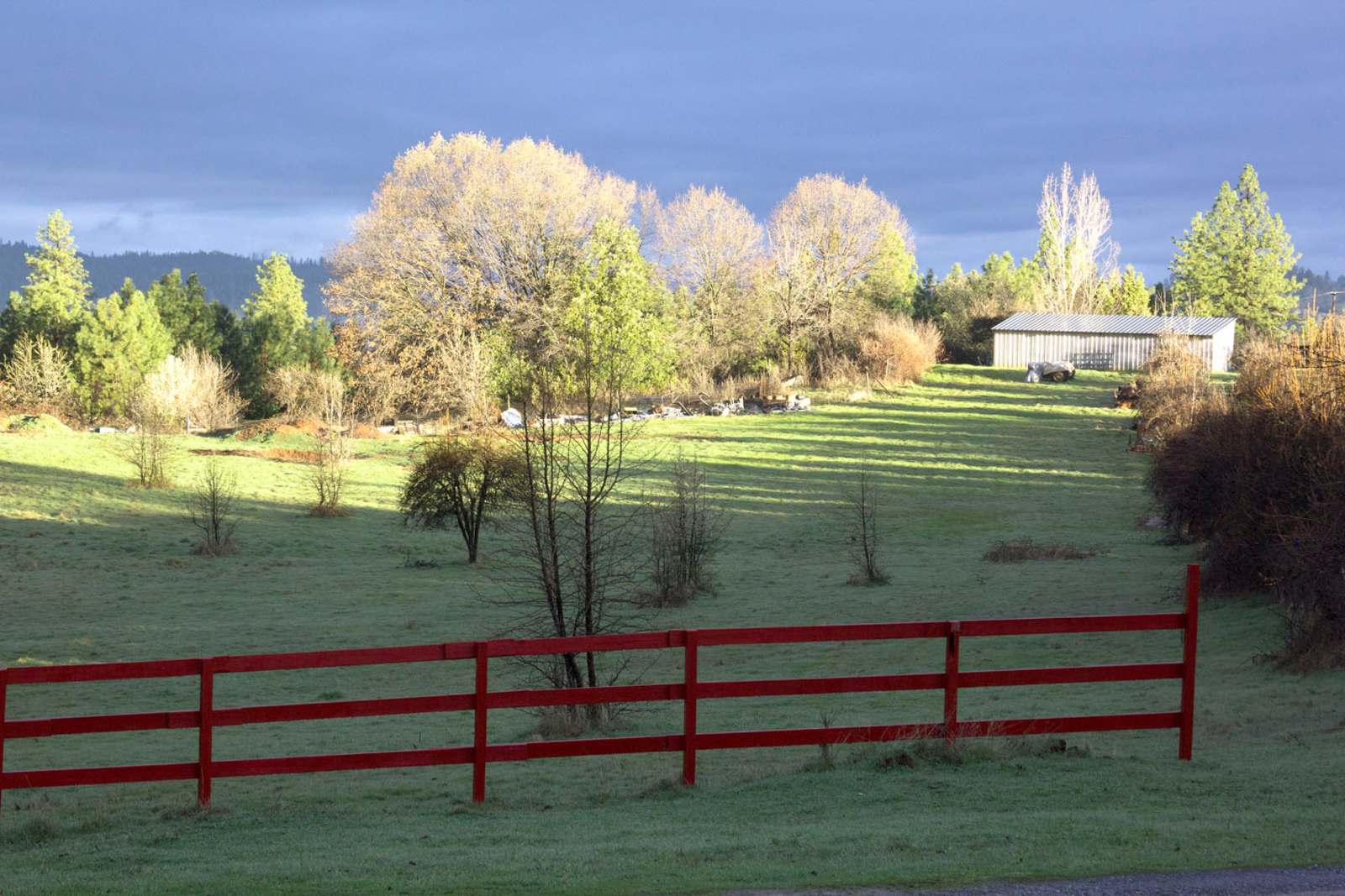 King Madrone - glamping.directory
