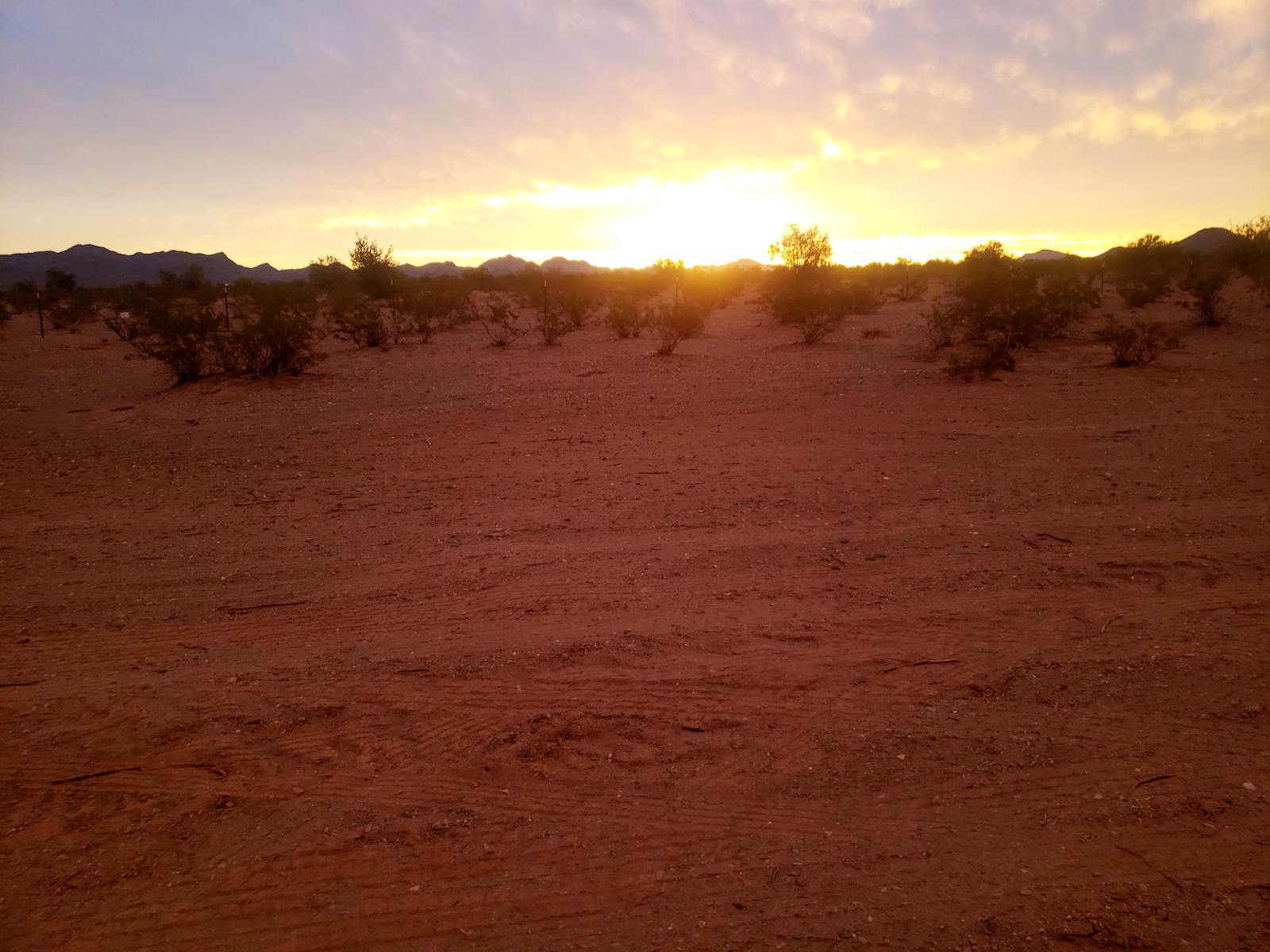 Steve&Dawn's Desert Retreat - Vicksburg, Arizona - glamping.directory