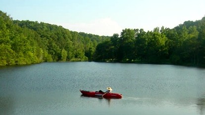 Spacious Vacation Rental near Nashville, Tennessee - Franklin, Tennessee - glamping.directory