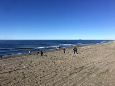 Snug Vacation Rental with a Variety of Adventure Packages Available near Anvil Mountain, Alaska - Nome, Alaska - glamping.directory