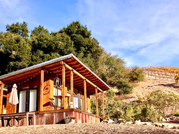 Stunning Paso Robles Cabin for Vineyard Glamping in California - Paso Robles, California - glamping.directory