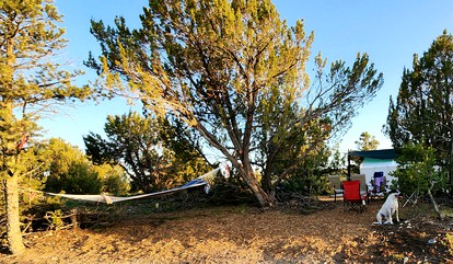 Remote Pet-Friendly Tented Cabin Great for Family Getaways in Colorado - Pueblo West, Colorado - glamping.directory