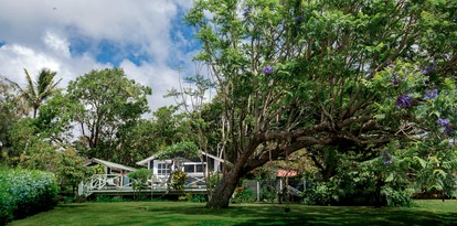 Romantic Oceanfront Cottage Rental with Private Tropical Gardens for Vacation in Hawaii - Hawi, Hawaii - glamping.directory