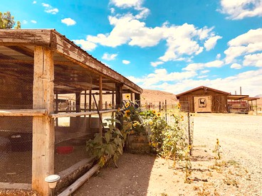 Cozy Cabin Rental near the Black Rock Desert, Nevada - Gerlach, Nevada - glamping.directory