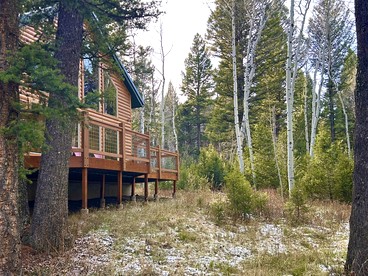Rustic Family Cabin Nestled Among the Towering Trees in Idaho - Island Park, Idaho - glamping.directory