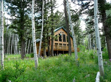 Rustic Family Cabin Nestled Among the Towering Trees in Idaho - Island Park, Idaho - glamping.directory