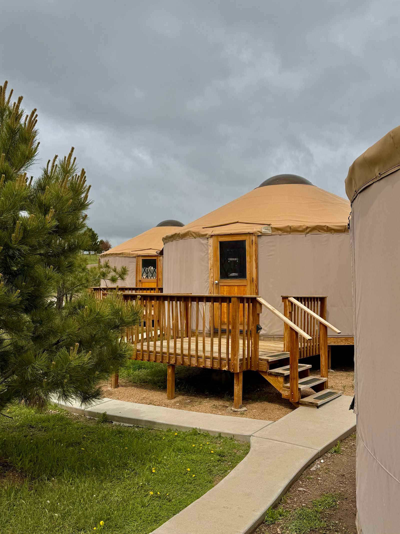 Colorado Black Forest Horse Ranch - glamping.directory