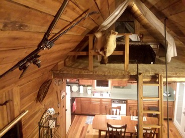 Cozy Vacation Rental with High-Speed Wi-Fi near Seven Springs, Pennsylvania - Champion, Pennsylvania - glamping.directory