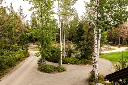Nature-Inspired Retreat with Lush Forest Views in Sandpoint, Idaho - Sandpoint, Idaho - glamping.directory