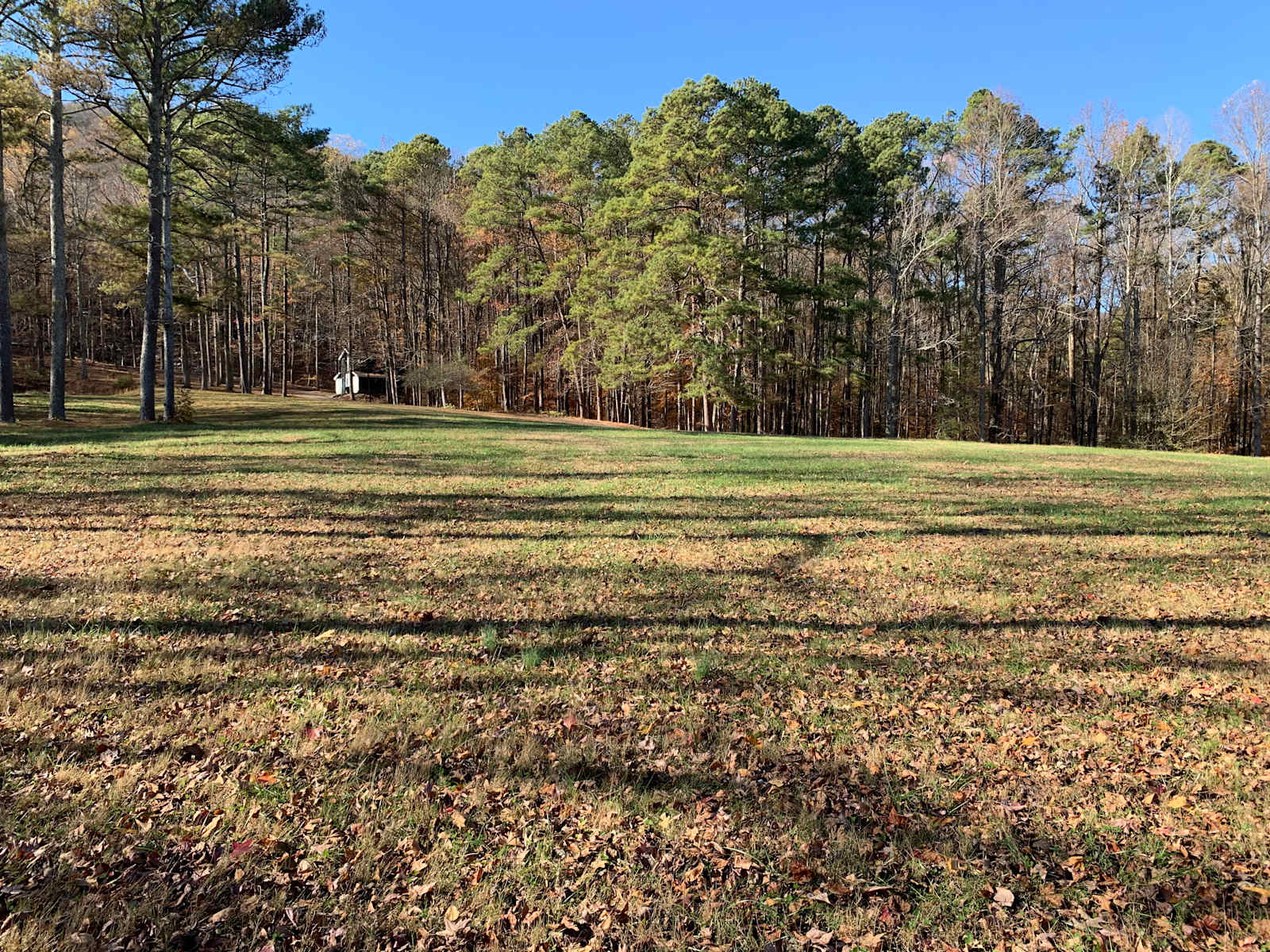 Dug Hill Moto & Outdo Shenanigans - Gurley, Alabama - glamping.directory