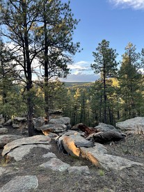 Private Bell Tent with Amazing Stargazing in Colorado - Trinidad, Colorado - glamping.directory