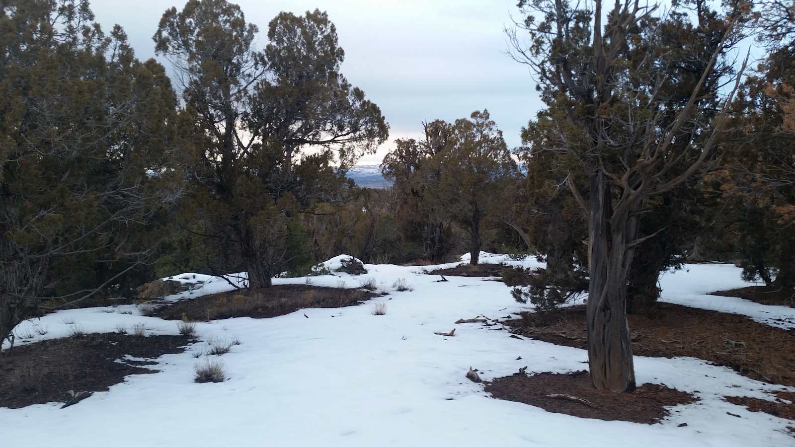 Dark Sky Paradise - glamping.directory