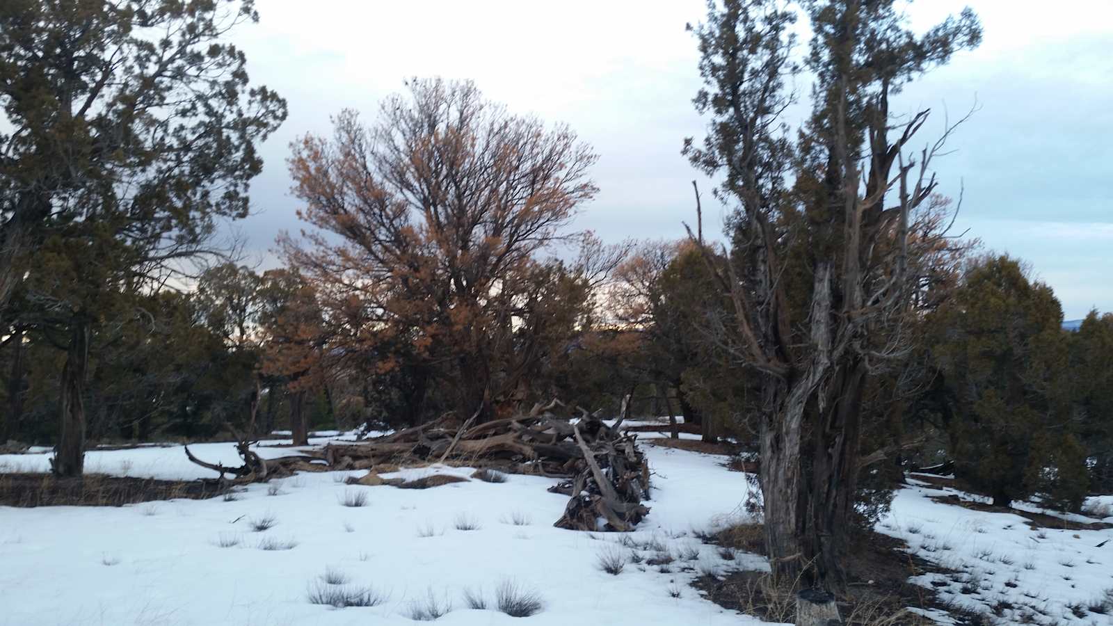 Dark Sky Paradise - Naturita, Colorado - glamping.directory