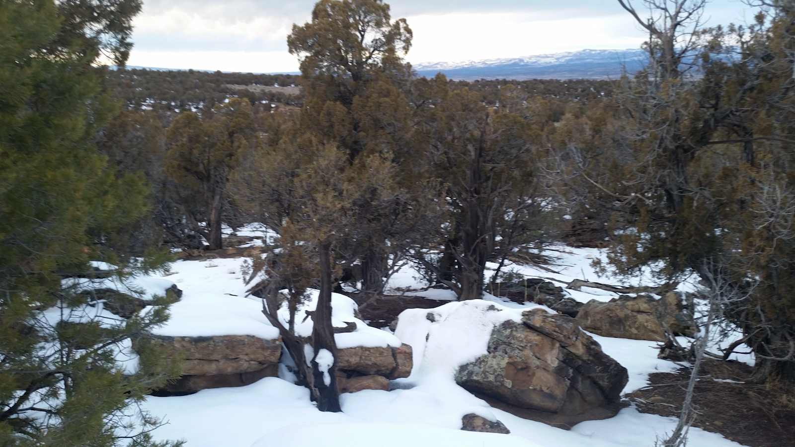 Dark Sky Paradise - Naturita, Colorado - glamping.directory