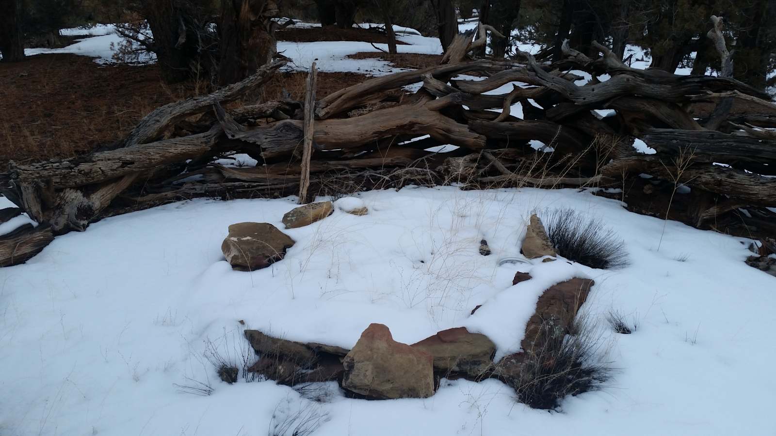 Dark Sky Paradise - Naturita, Colorado - glamping.directory