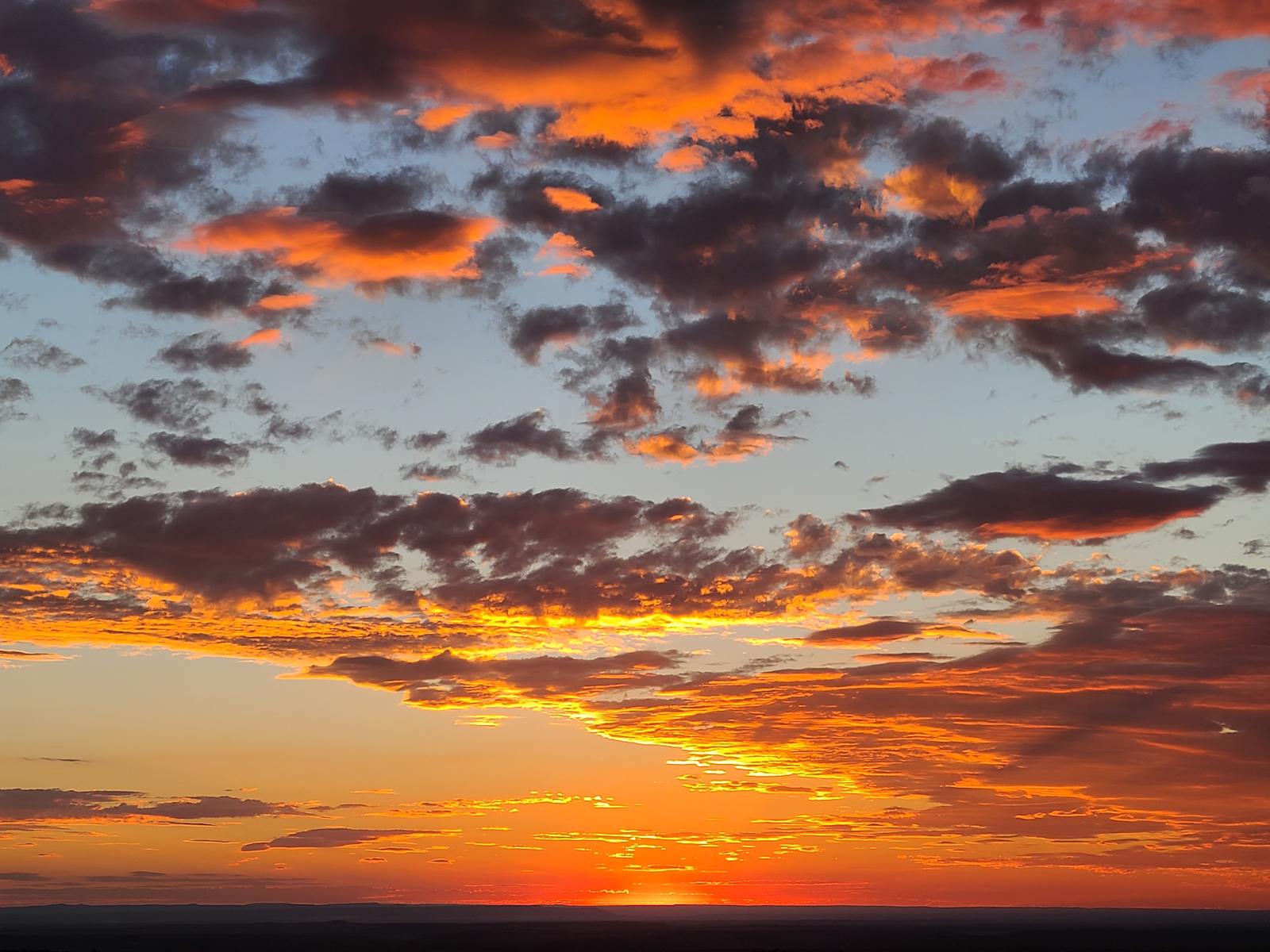 Higher Up Mesa - Williams, Arizona - glamping.directory