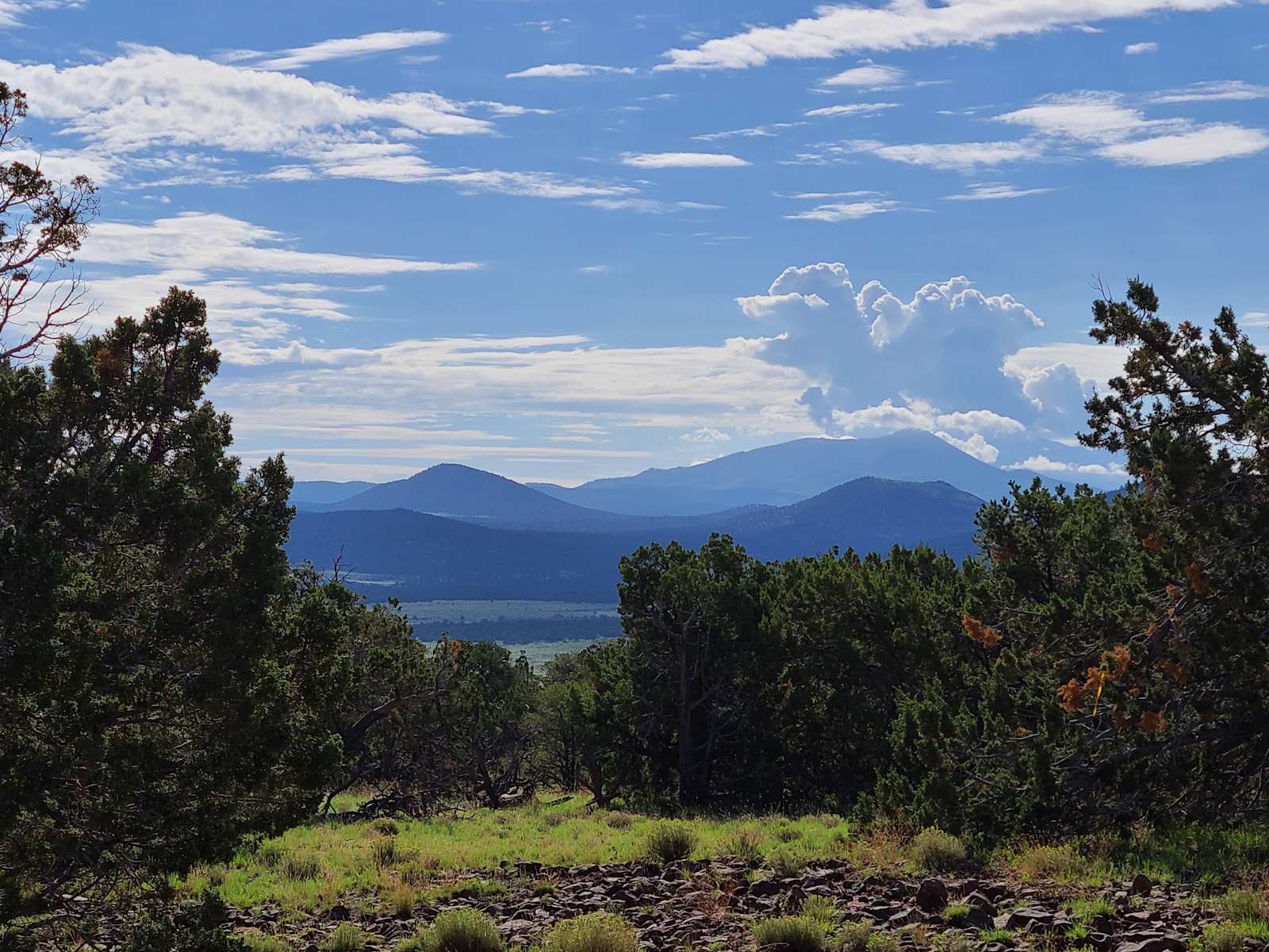 Higher Up Mesa - Williams, Arizona - glamping.directory