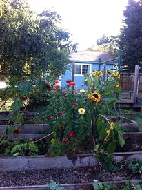 Open Inviting Luxury Cottage on Small Farm in Sonoma Wine Country, California - glamping.directory
