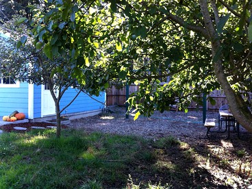 Open Inviting Luxury Cottage on Small Farm in Sonoma Wine Country, California - Sebastopol, California - glamping.directory
