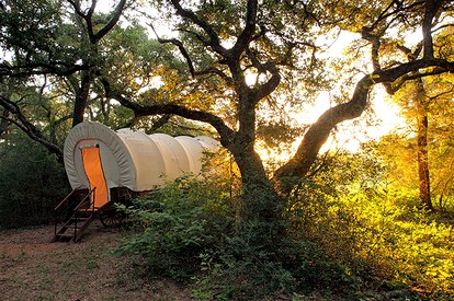 Unique Wagon Accommodation at Bed and Breakfast near Austin, Texas - glamping.directory
