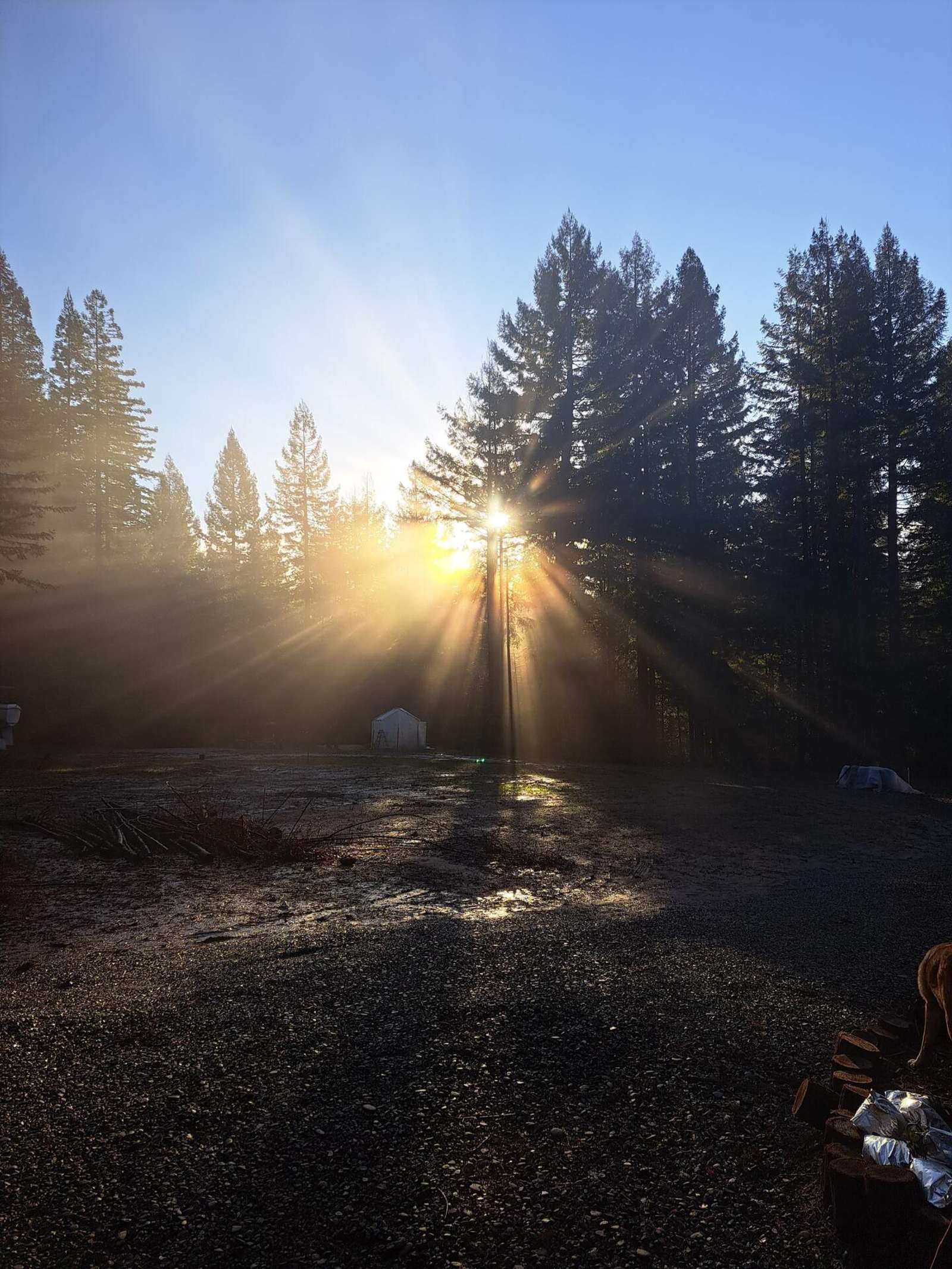 Forest Farm Conservancy - glamping.directory